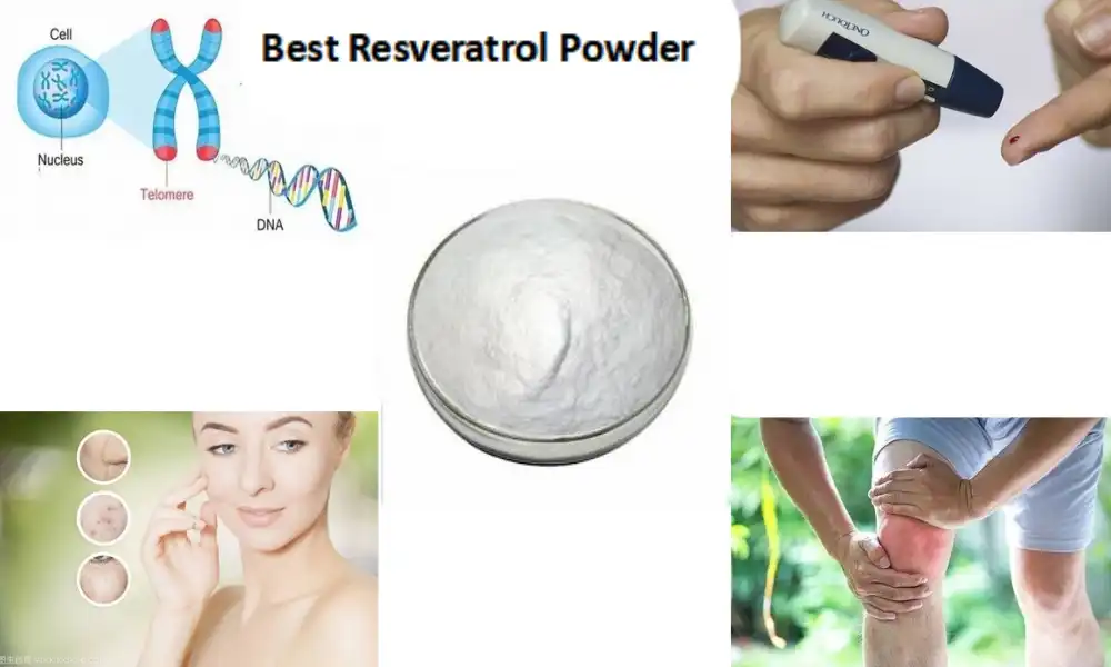 The Best Resveratrol Powder for Anti-Aging and Longevity